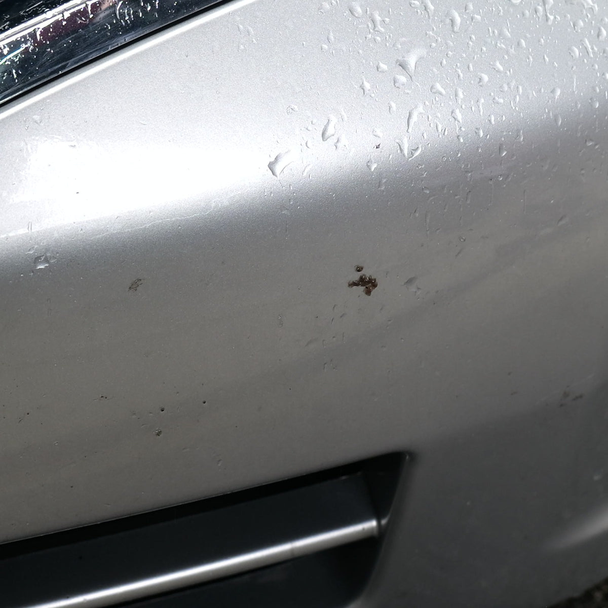JJS-REAL::bug-remover/static/P1110363_t00010.jpg